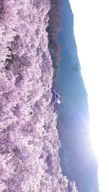 没有规矩不成方圆嘛怎么回复女生?_专业问答网站,解答你的疑惑