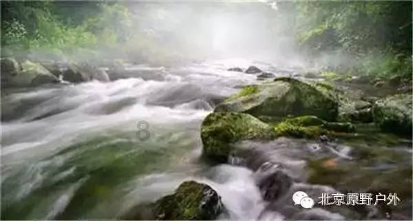 三鲜卤子里面的木耳香菇面筋提前焯水吗?——专业有问必答平台